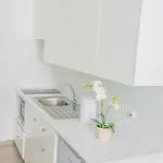 Alva 4* Protaras